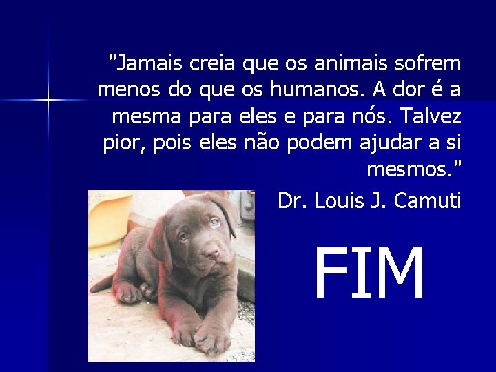 "Jamais creia que os animais sofrem menos do que os humanos. A dor é