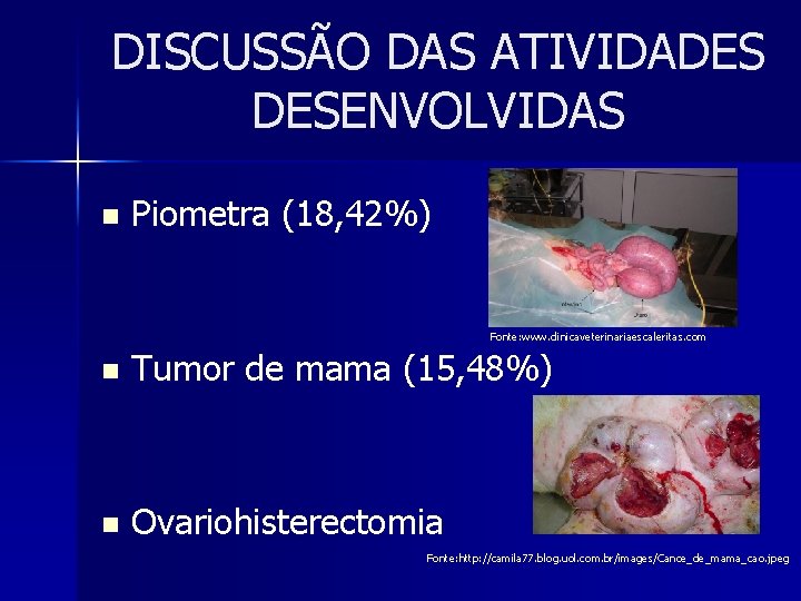 DISCUSSÃO DAS ATIVIDADES DESENVOLVIDAS n Piometra (18, 42%) Fonte: www. clinicaveterinariaescaleritas. com n Tumor