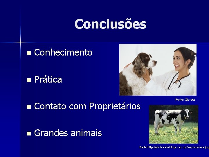 Conclusões n Conhecimento n Prática n Contato com Proprietários n Grandes animais Fonte: Clip-arts