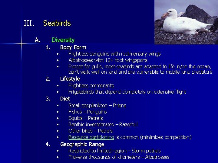 III. Seabirds A. Diversity 1. Body Form • • • 2. Flightless penguins with