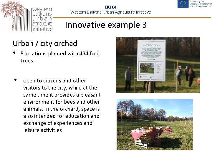 BUGI Western Balkans Urban Agriculture Initiative Innovative example 3 Urban / city orchad •