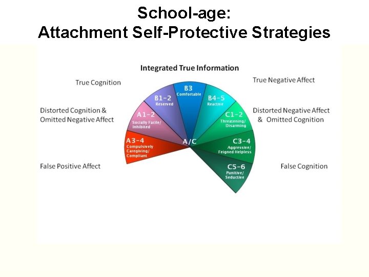 School-age: School-age Attachment Self-Protective Strategies 