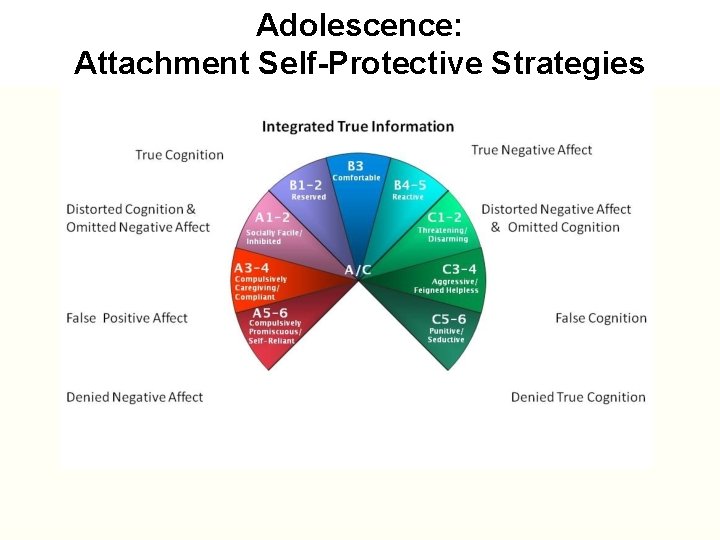 Adolescence: Adolescence Attachment Self-Protective Strategies 