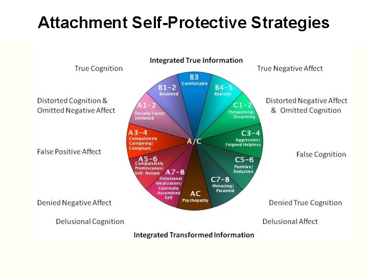 Attachment Self-Protective Strategies 