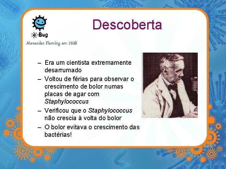 Descoberta Alexander Fleming em 1928 – Era um cientista extremamente desarrumado – Voltou de