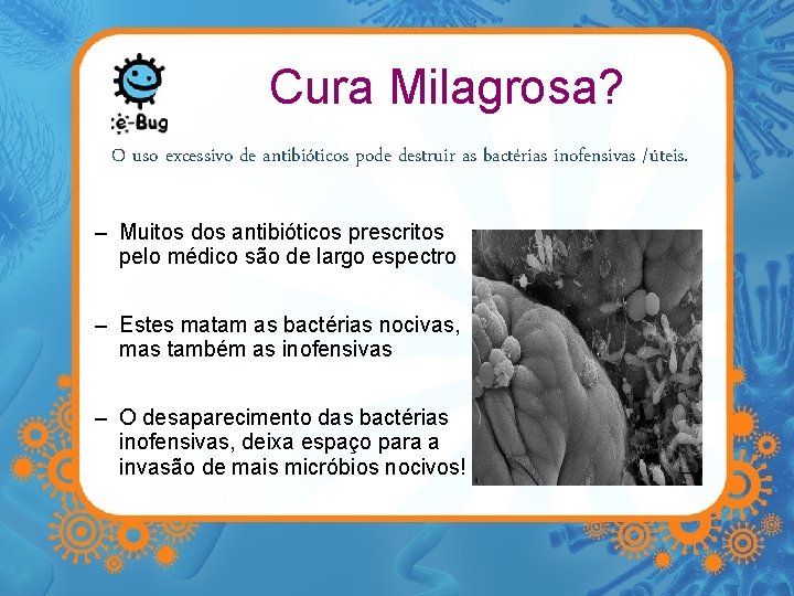 Cura Milagrosa? O uso excessivo de antibióticos pode destruir as bactérias inofensivas /úteis. –