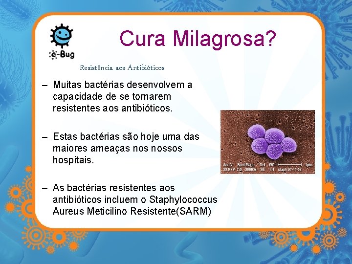 Cura Milagrosa? Resistência aos Antibióticos – Muitas bactérias desenvolvem a capacidade de se tornarem