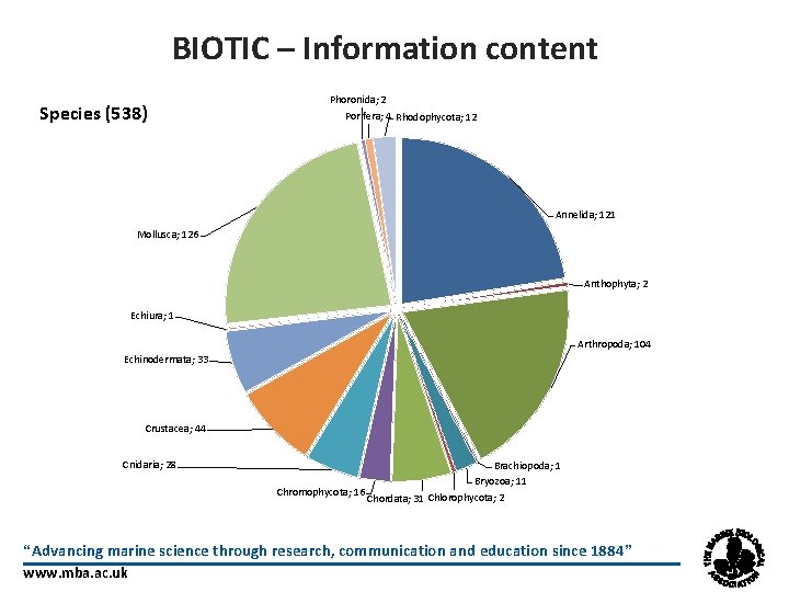 BIOTIC – Information content Species (538) Phoronida; 2 Porifera; 4 Rhodophycota; 12 Annelida; 121