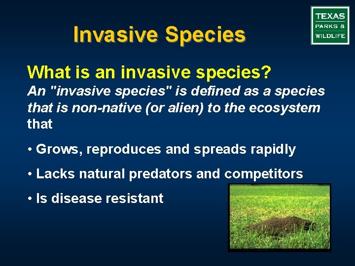 Invasive Species What is an invasive species? An "invasive species" is defined as a