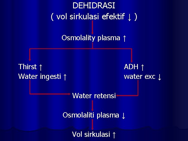 DEHIDRASI ( vol sirkulasi efektif ↓ ) Osmolality plasma ↑ Thirst ↑ Water ingesti