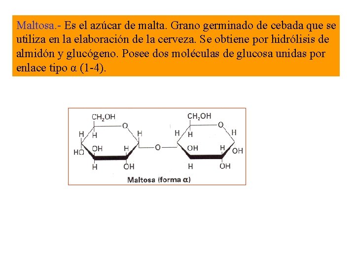 Maltosa. - Es el azúcar de malta. Grano germinado de cebada que se utiliza