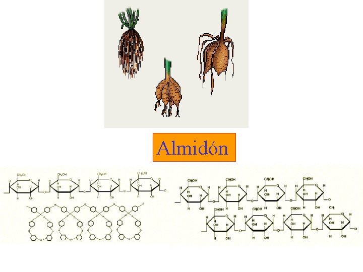 Almidón 