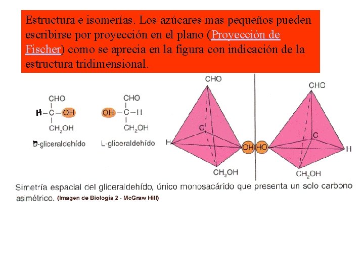 Estructura e isomerías. Los azúcares mas pequeños pueden escribirse por proyección en el plano