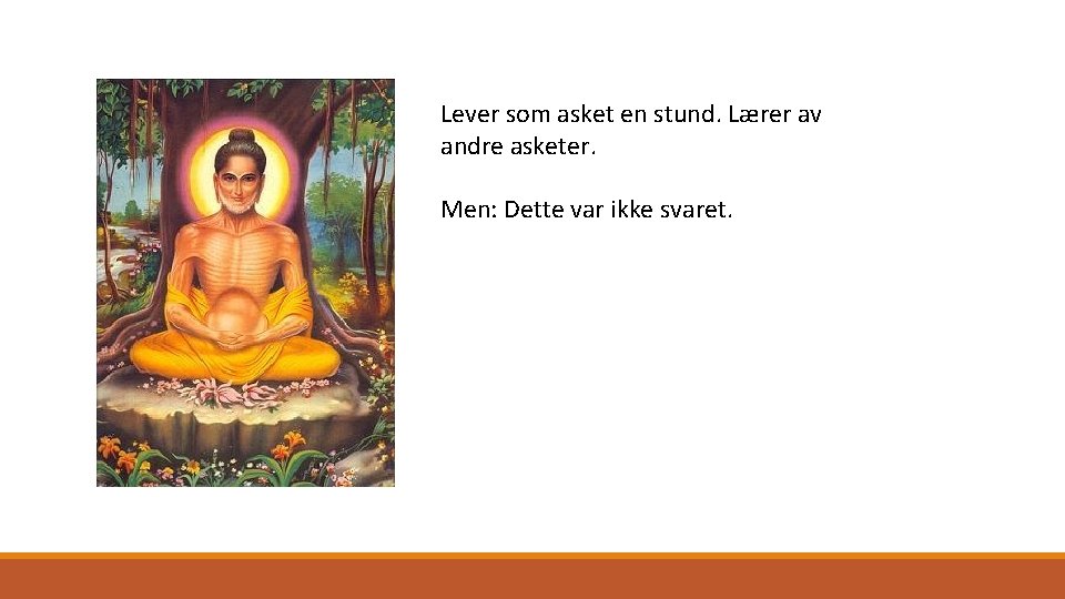 Lever som asket en stund. Lærer av andre asketer. Men: Dette var ikke svaret.