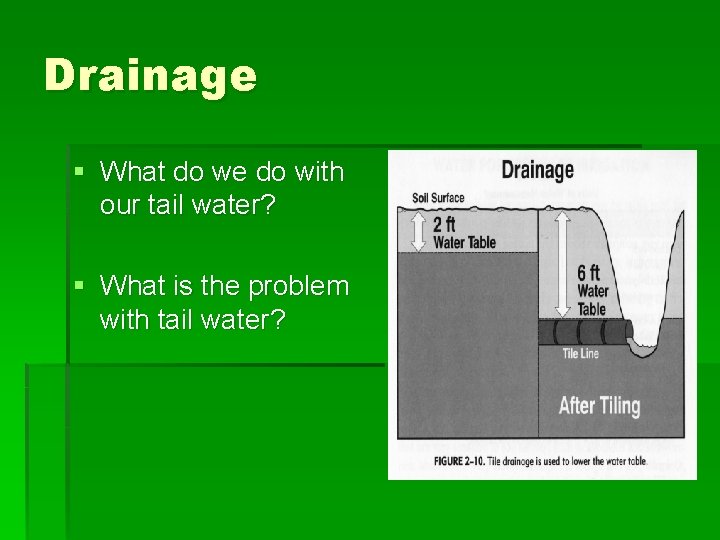 Drainage § What do we do with our tail water? § What is the