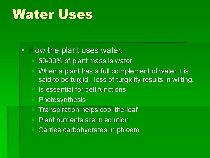 Water Uses § How the plant uses water. § 60 -90% of plant mass