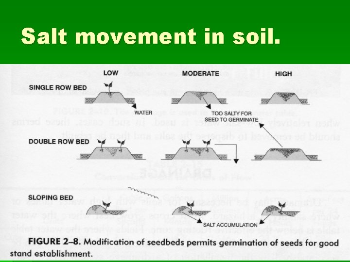 Salt movement in soil. 