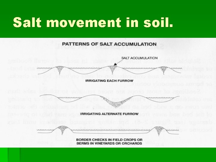 Salt movement in soil. 