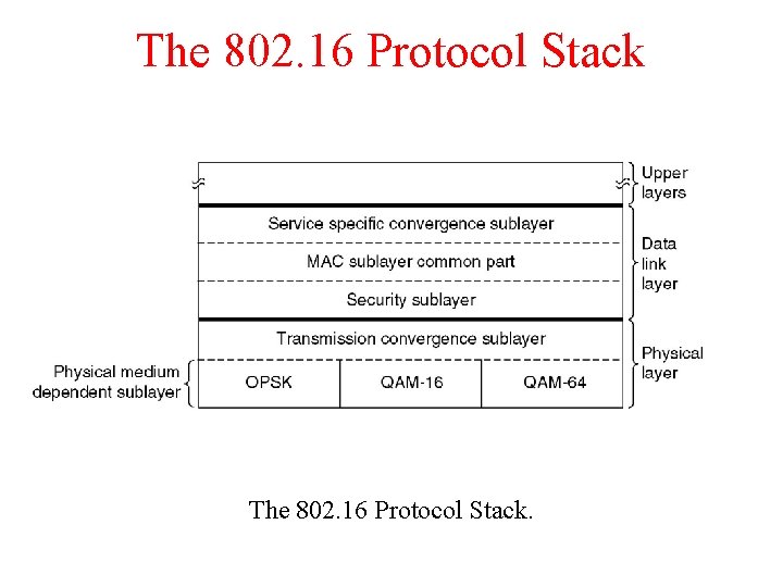 The 802. 16 Protocol Stack. 