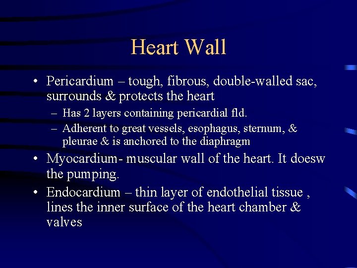 Heart Wall • Pericardium – tough, fibrous, double-walled sac, surrounds & protects the heart