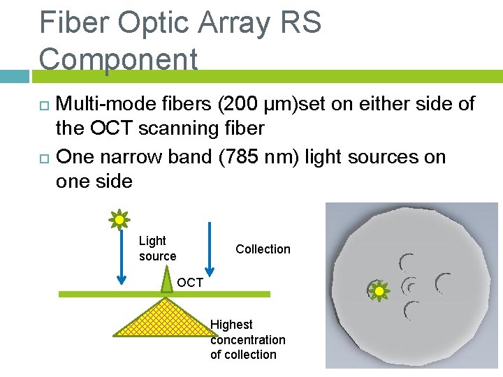 Fiber Optic Array RS Component Multi-mode fibers (200 µm)set on either side of the