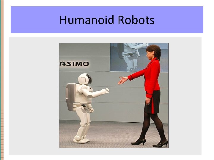 Humanoid Robots 