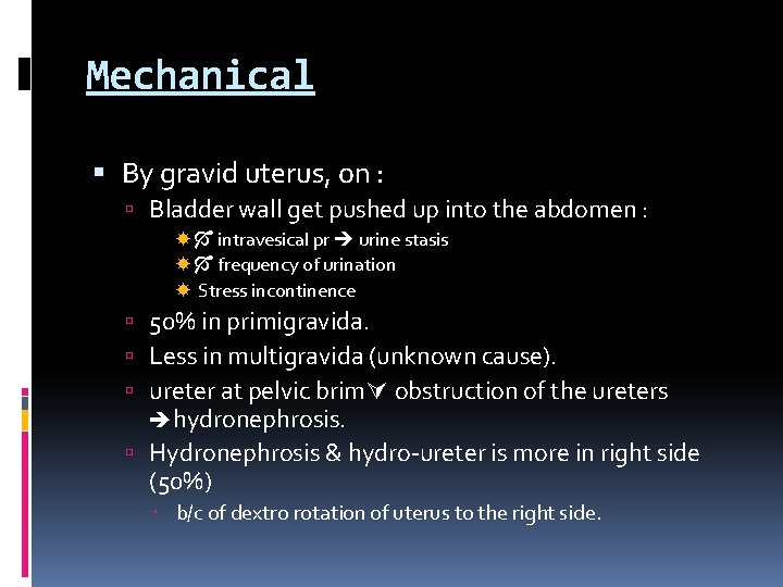Mechanical By gravid uterus, on : Bladder wall get pushed up into the abdomen