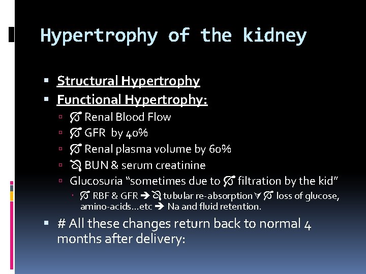 Hypertrophy of the kidney Structural Hypertrophy Functional Hypertrophy: Renal Blood Flow GFR by 40%