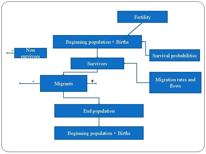 Fertility Beginning population + Births - Non survivors Survival probabilities Survivors - Migrants +