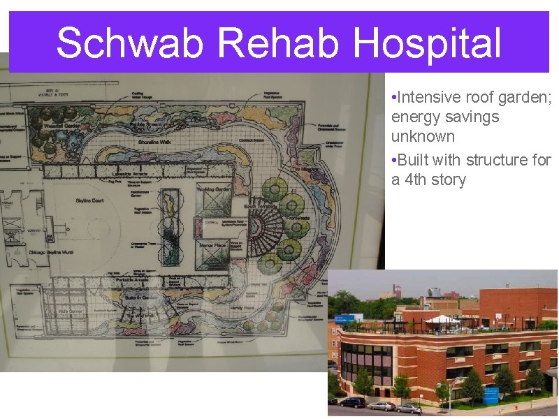 Schwab Rehab Hospital • Intensive roof garden; energy savings unknown • Built with structure