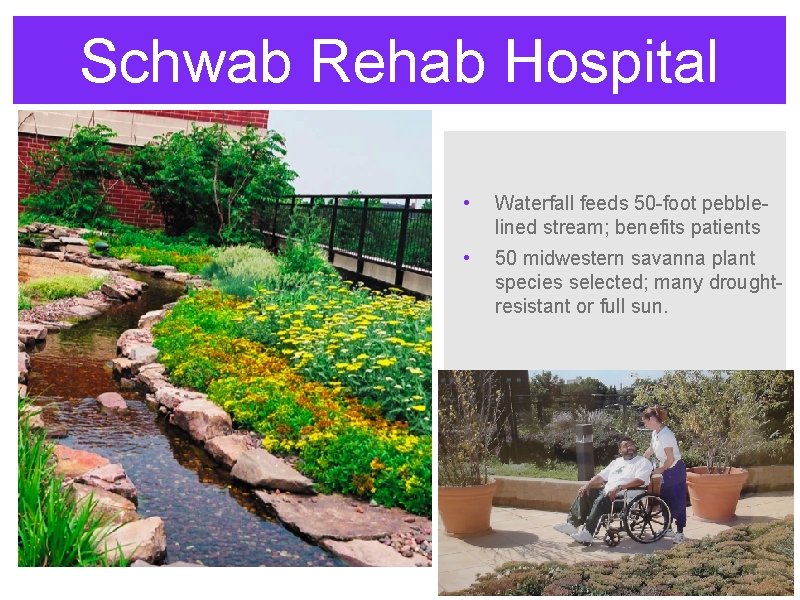 Schwab Rehab Hospital • Waterfall feeds 50 -foot pebblelined stream; benefits patients • 50