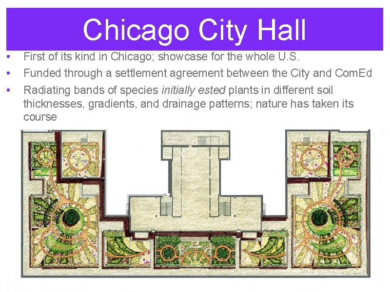 Chicago City Hall • • • First of its kind in Chicago; showcase for