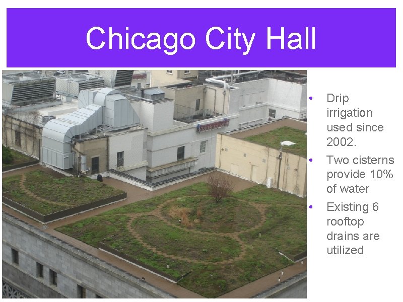 Chicago City Hall • • • Drip irrigation used since 2002. Two cisterns provide