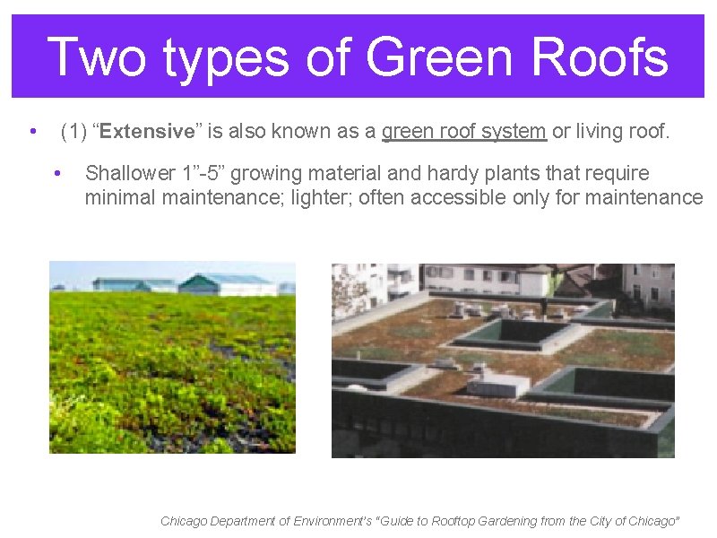 Two types of Green Roofs • (1) “Extensive” is also known as a green