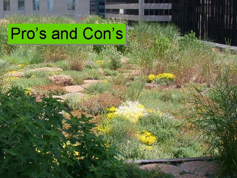 Pro’s and Con’s 