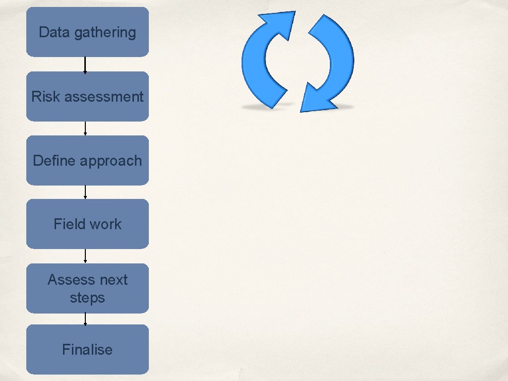 Data gathering Risk assessment Define approach Field work Assess next steps Finalise 