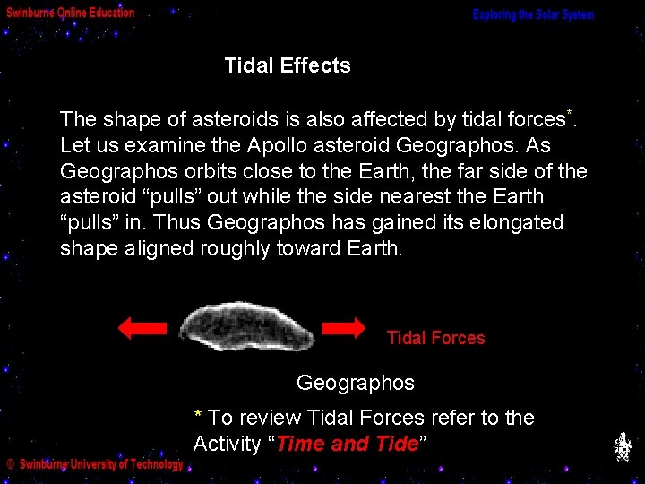 Tidal Effects The shape of asteroids is also affected by tidal forces*. Let us
