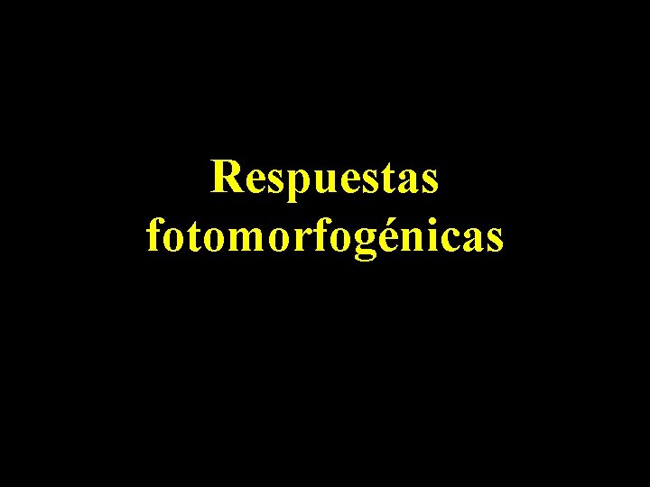 Respuestas fotomorfogénicas 