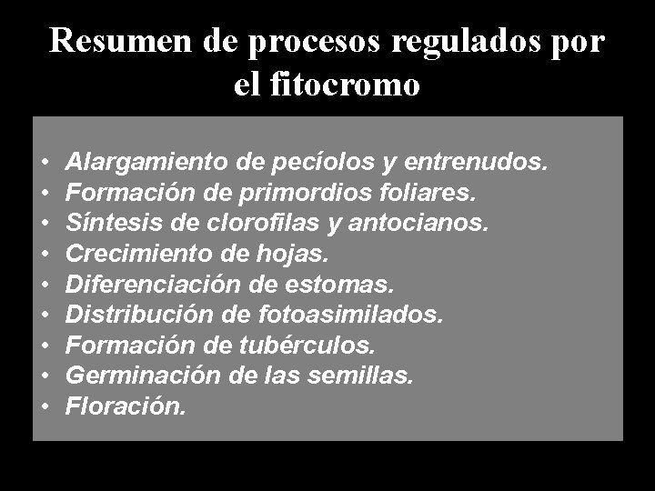Resumen de procesos regulados por el fitocromo • • • Alargamiento de pecíolos y