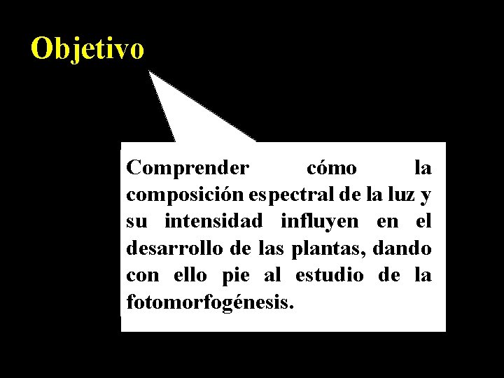 Objetivo Comprender cómo la composición espectral de la luz y su intensidad influyen en