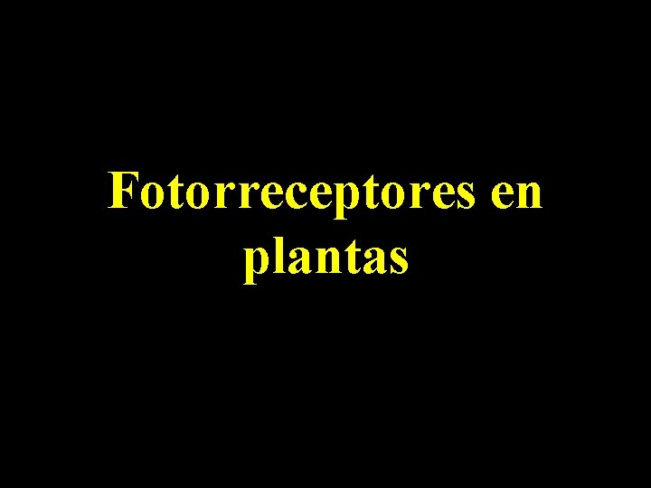 Fotorreceptores en plantas 