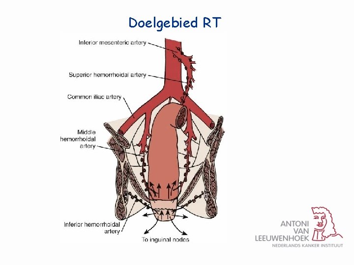 Doelgebied RT 