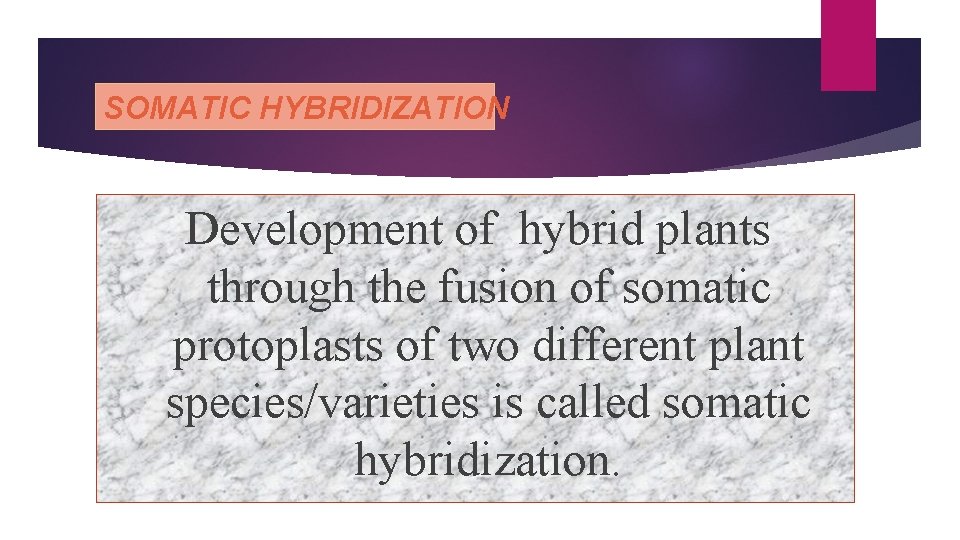 SOMATIC HYBRIDIZATION Development of hybrid plants through the fusion of somatic protoplasts of two