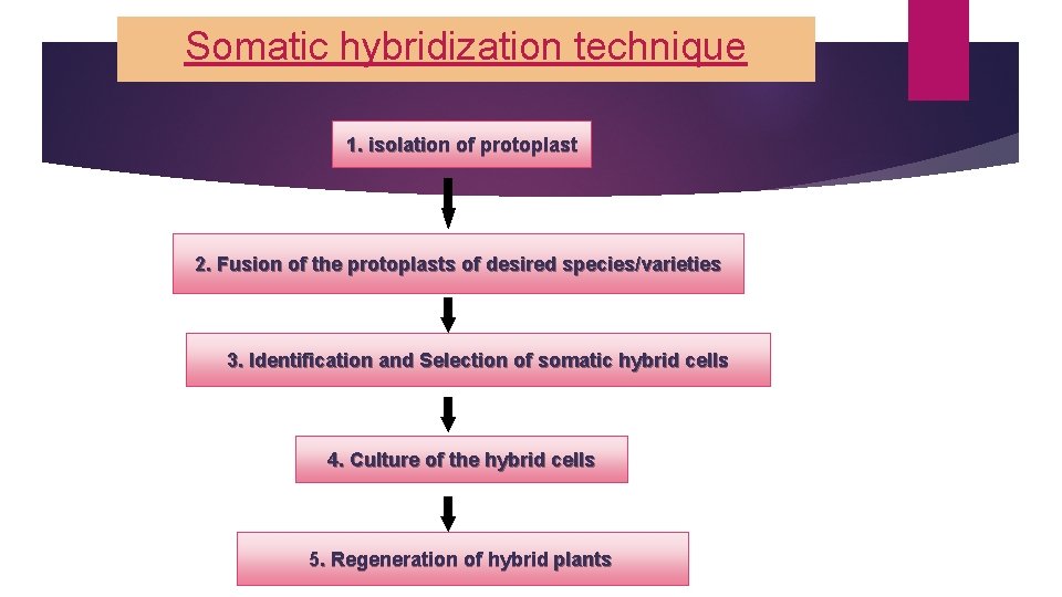 Somatic hybridization technique 1. isolation of protoplast 2. Fusion of the protoplasts of desired