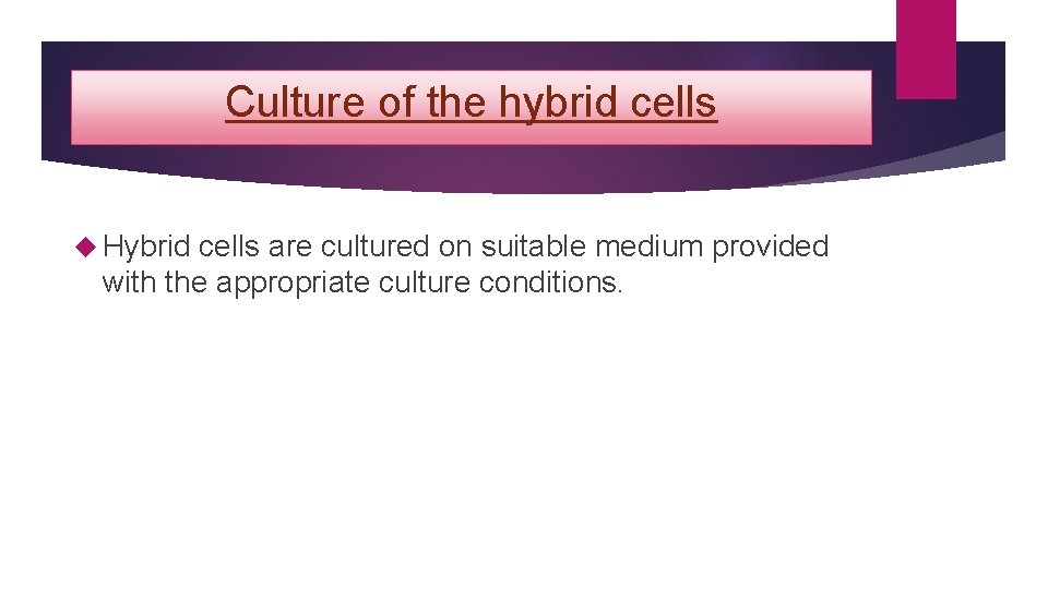 Culture of the hybrid cells Hybrid cells are cultured on suitable medium provided with