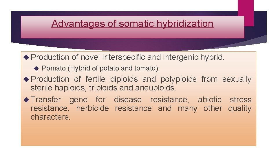 Advantages of somatic hybridization Production of novel interspecific and intergenic hybrid. Pomato (Hybrid of