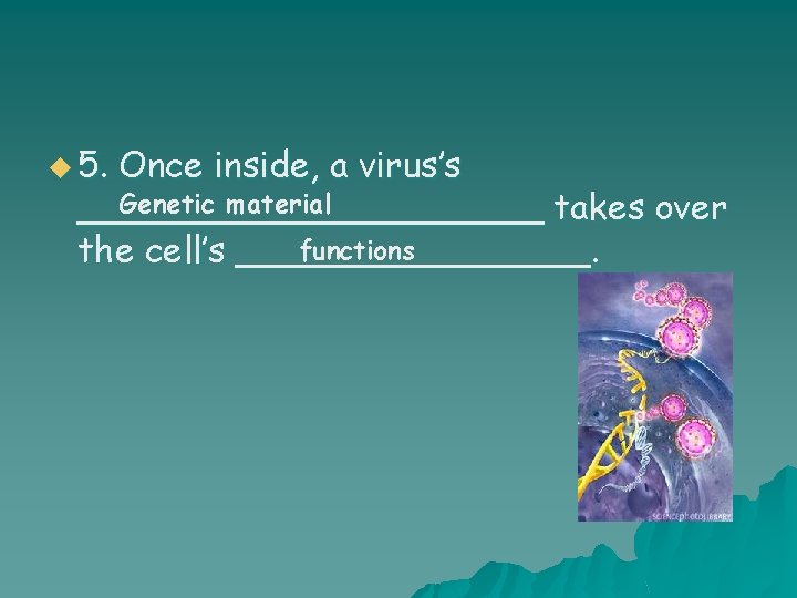 u 5. Once inside, a virus’s Genetic material ___________ takes over functions the cell’s