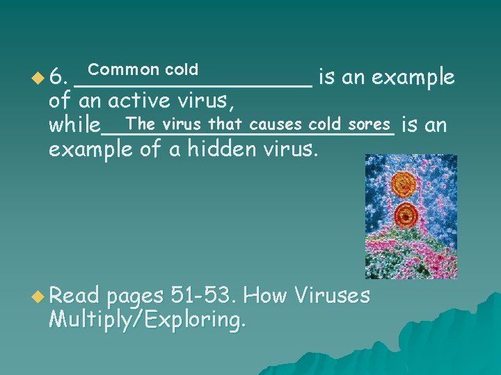 u 6. Common cold _________ is an example of an active virus, The virus