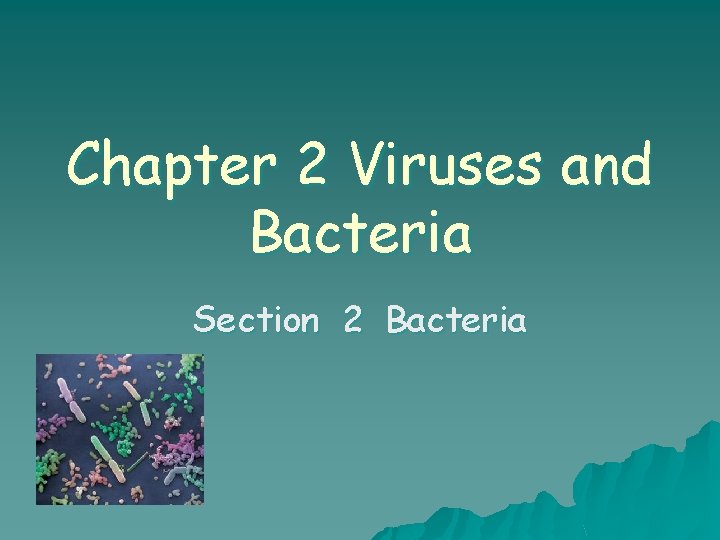 Chapter 2 Viruses and Bacteria Section 2 Bacteria 