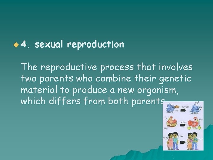 u 4. sexual reproduction The reproductive process that involves two parents who combine their